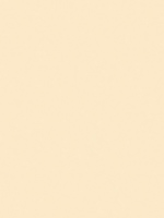 Vanilla Cream super matte cabinet door